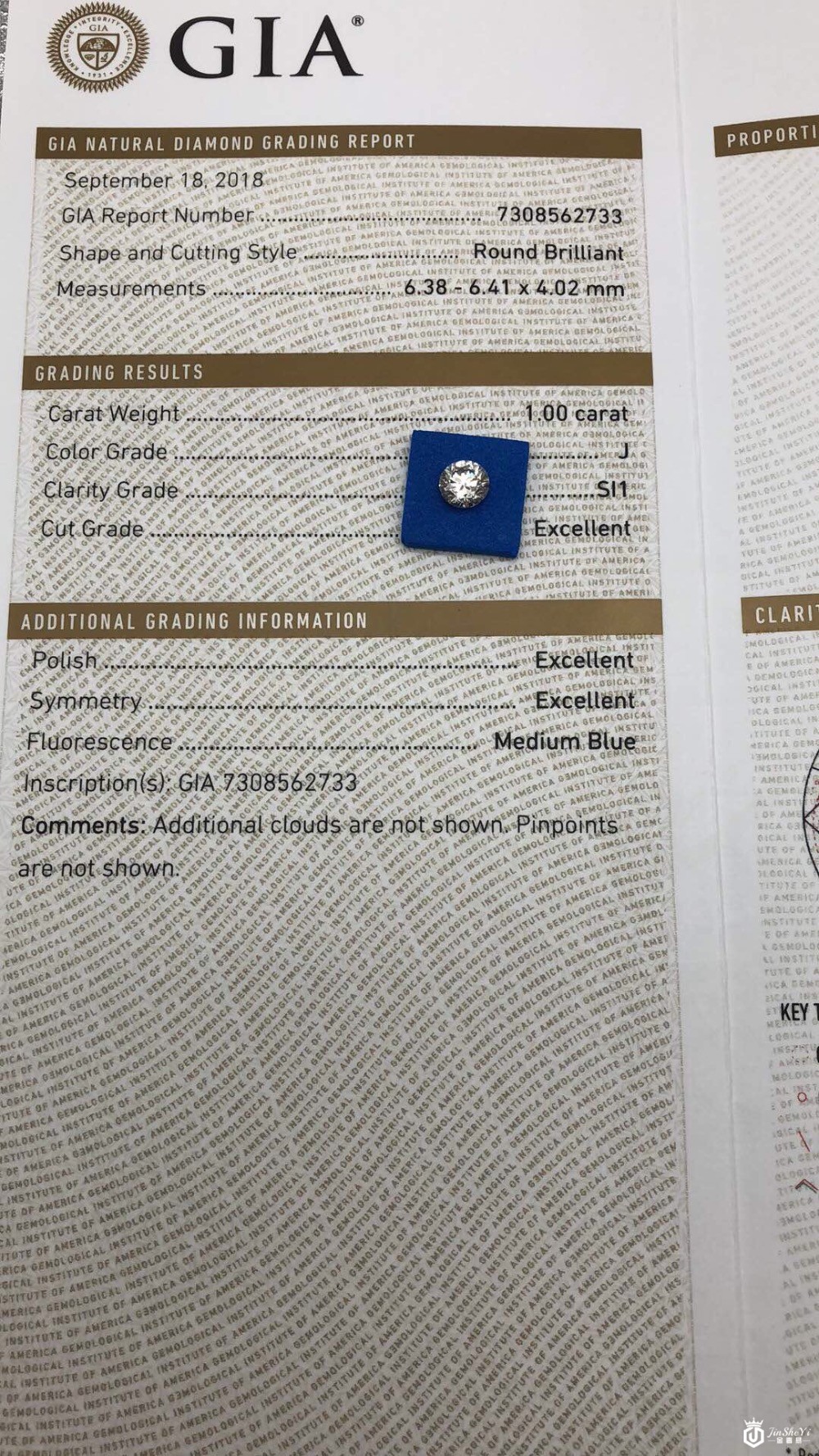 亿锦珠宝公司1克拉J色 SI1 3EX M图2