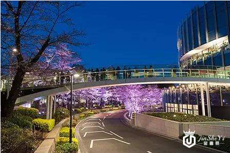 【武汉奢侈品回收店】武汉二手奢侈品回收，回收折扣高