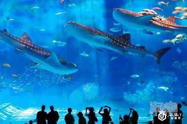 新一届全球海洋保护晚宴,萧邦首饰成最大主角 新一届全球海洋保护晚宴,萧邦首饰成最大主角