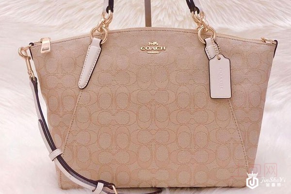 二手蔻驰牛皮材质中号饺子包包