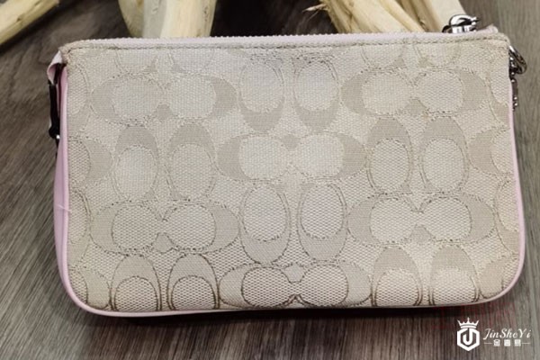 蔻驰女士经典拼色手拿包背面实拍