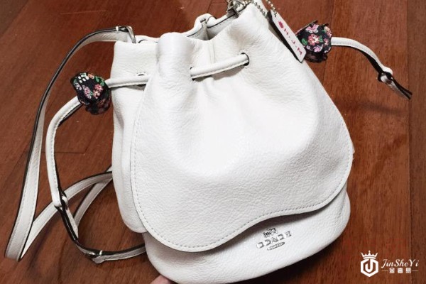 蔻驰水桶包包外观展示