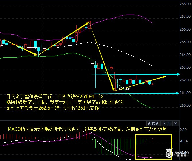 黄金T+D60分钟走势图