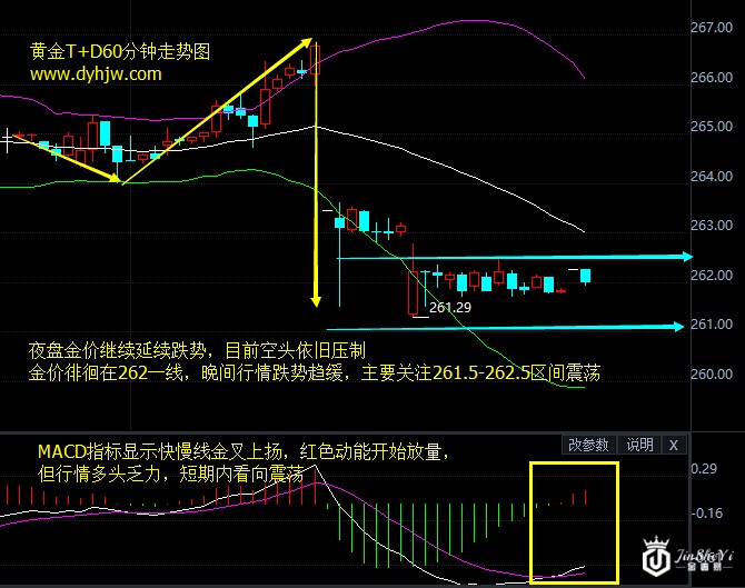 黄金t+d60分钟走势图