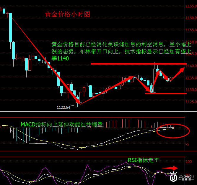 黄金价格小时图