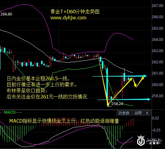 黄金T+D60分钟走势图
