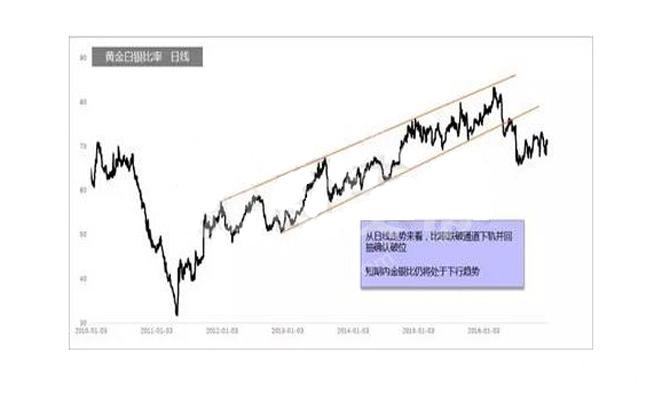 金银比率日线图