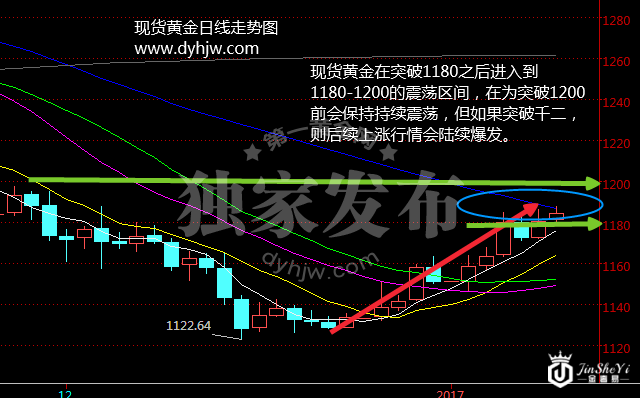 黄金日线走势图