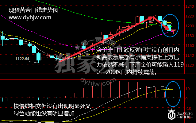 黄金日线走势图