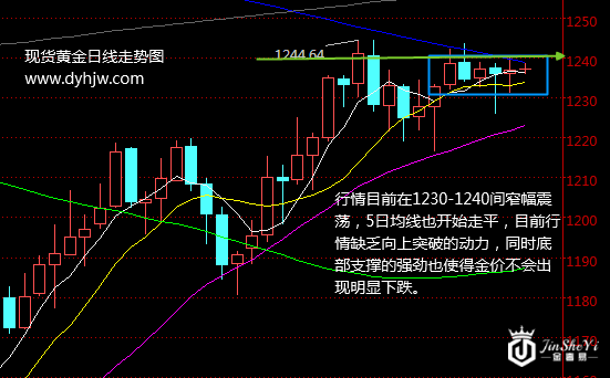 黄金日线走势图