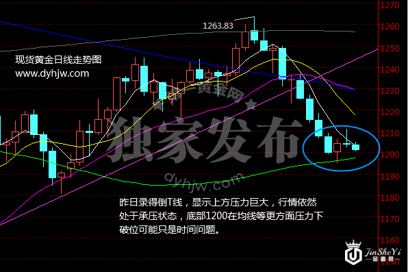 黄金日线走势图