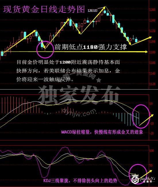 现货黄金走势图(日线)