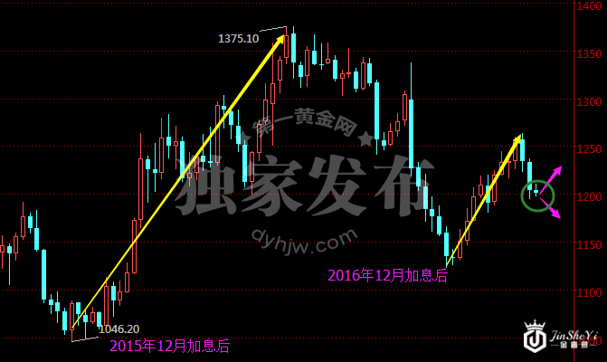 现货黄金周线图