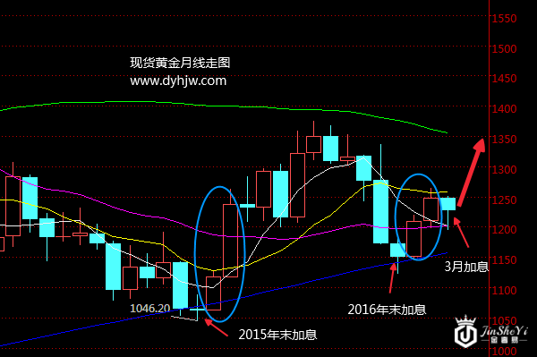 黄金月线走势图