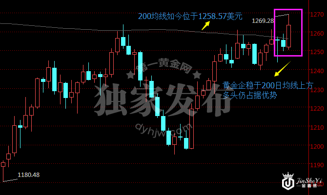 黄金日线走势图
