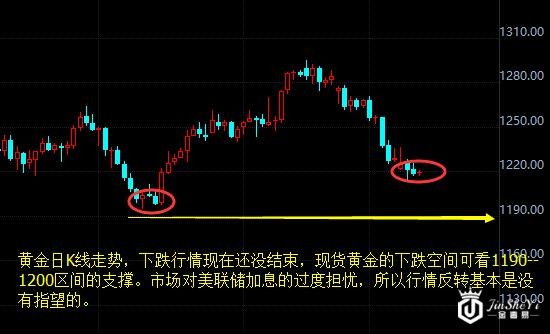 黄金价格日线走势图