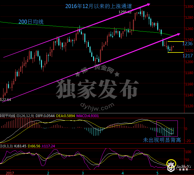 现货黄金日线走势图