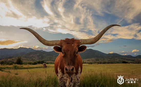 日元走势预示金价短期回撤 但中长期仍将涨破千五