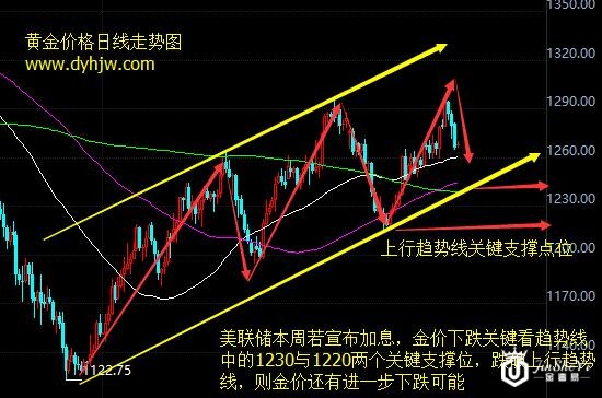 黄金价格走势图