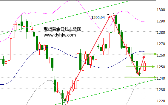 1498101238367745.png https://jinsheyi-1322894074.cos.ap-guangzhou.myqcloud.com/upload/202208/23/215135531.png