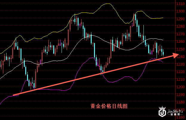 黄金价格日线图
