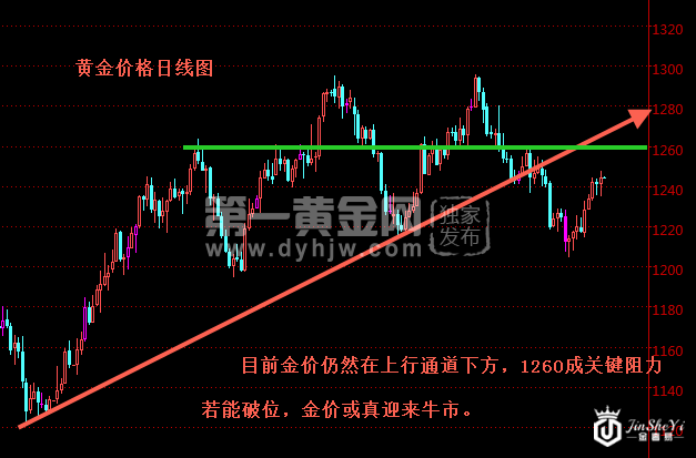 黄金价格日线图