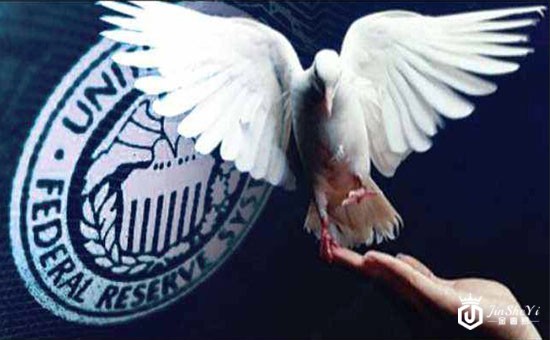 1562838609423631.jpg 白鸽.jpg