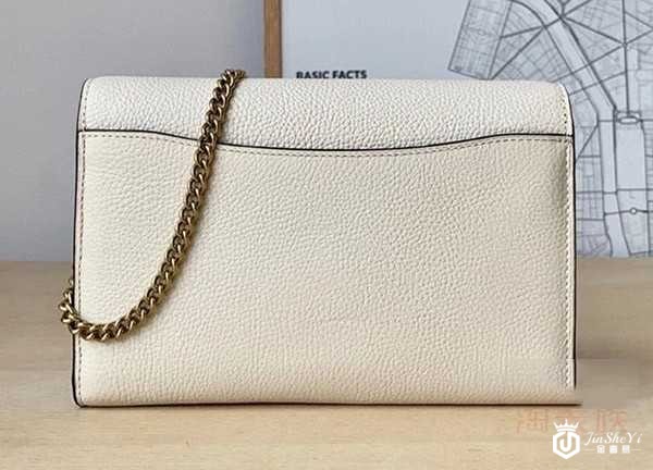 二手蔻驰系列链条女斜挎包背面展示图