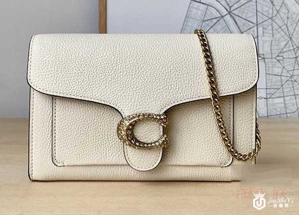 二手蔻驰系列链条女斜挎包正面展示图