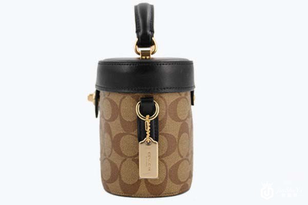 蔻驰女士小号浅棕PVC配皮盒子包侧面 蔻驰女士小号浅棕PVC配皮盒子包侧面