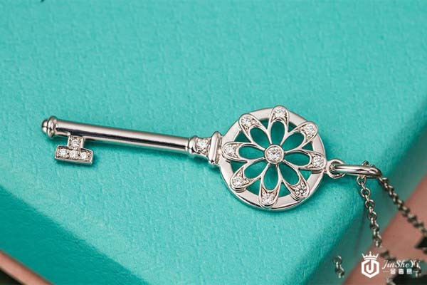 95新蒂芙尼KeyS系列铂金项链正面图