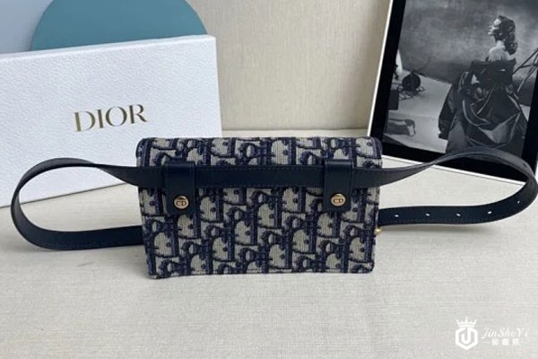 二手迪奥蓝色Dior-Oblique印花马鞍腰包背面