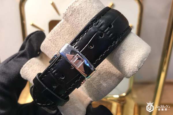 95新天梭力洛克系列T006.428.16.058.02腕表表带图