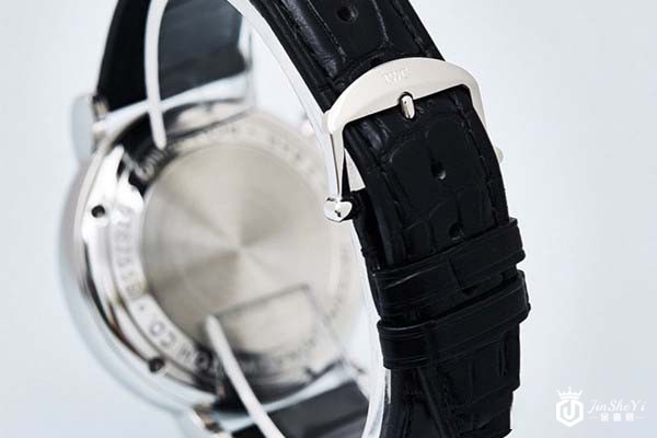 95新万国柏涛菲诺系列42mm自动机械男士手表 IW391007表带图