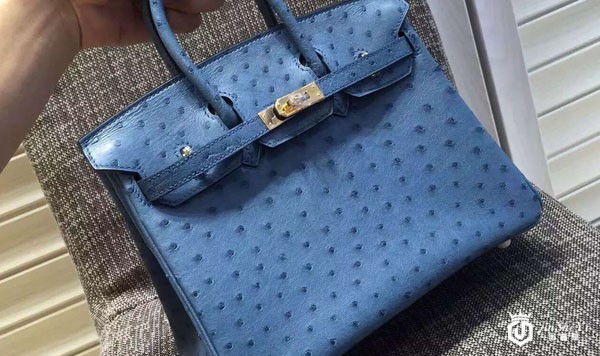 爱马仕鸵鸟皮铂金包回收价格